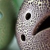 KOMINEK CERAMICZNY do olejków i wosków W KROPKI