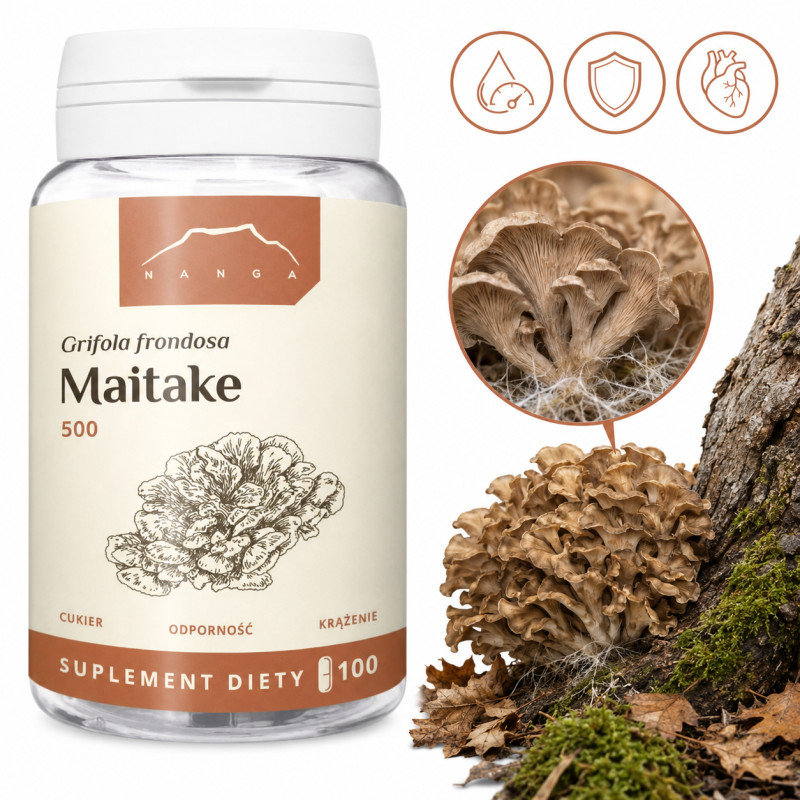 Nanga MAITAKE 500mg ekstrakt  z grzyba Żagwica listkowata 100 kapsułek