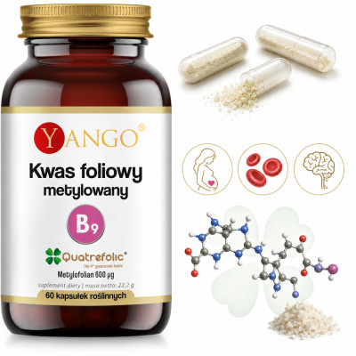 Yango KWAS FOLIOWY METYLOWANY (Quatrefolic) 60 kapsułek