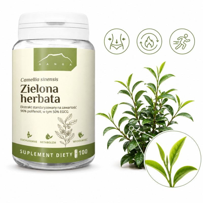 Nanga ZIELONA HERBATA ekstrakt 400mg 100 kapsułek