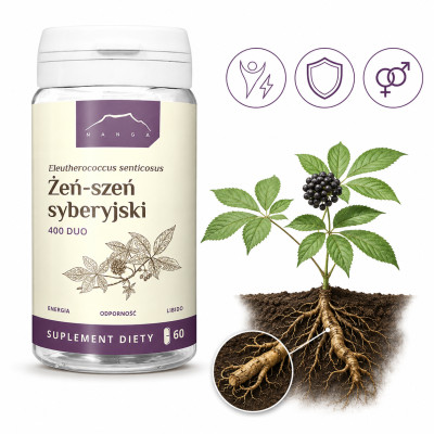 NANGA ŻEŃ-SZEŃ SYBERYJSKI 400mg 60 kapsułek wsparcie ENERGIA KONCENTRACJA