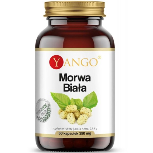 Yango MORWA BIAŁA wparcie METABOLIZM TRAWIENIE POZIOM CUKRU