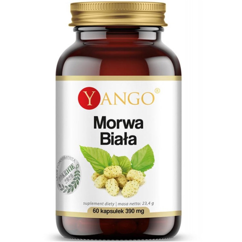 Yango MORWA BIAŁA wparcie METABOLIZM TRAWIENIE POZIOM CUKRU