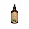 BioOlja BIO HYDROLAT Z ALOESU 100ml NATURALNA MGIEŁKA do