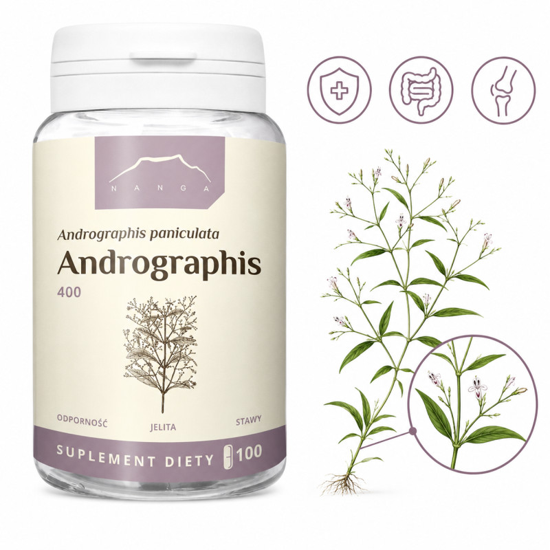 NANGA ANDROGRAPHIS ekstrakt 400MG 100kp wsparcie KATAR KASZEL