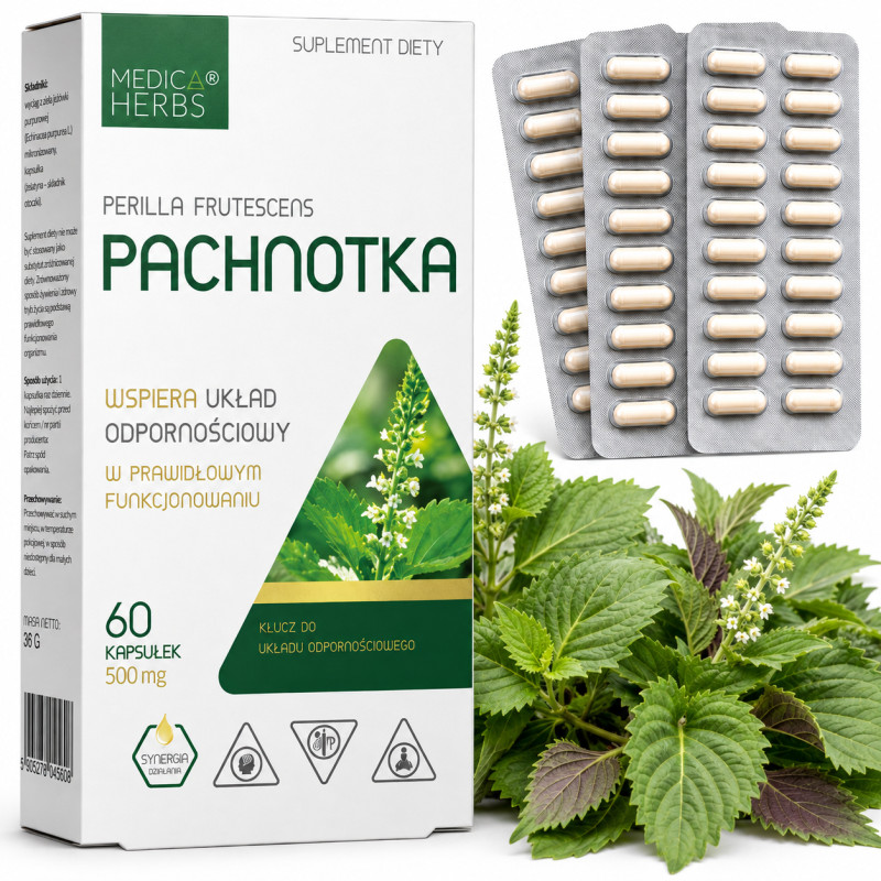 Medica Herbs PACHNOTKA wsparcie UKŁAD ODPORNOŚCIOWY ALERGIA 50mg 60 kaps.