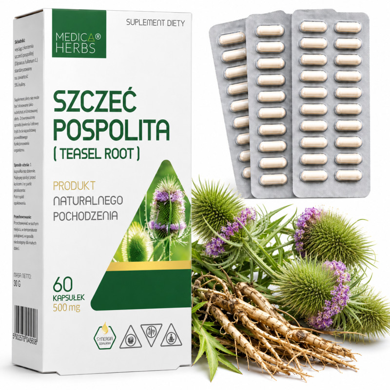 Medica Herbs SZCZEĆ POSPOLITA Teasel Root wsparcie BOLERIOZA STAWY 60 kaps.