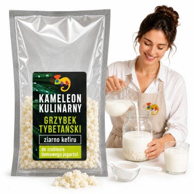 KAMELEON KULINARNY ziarno kefiru GRZYBEK TYBETAŃSKI na kefir domowy 15g