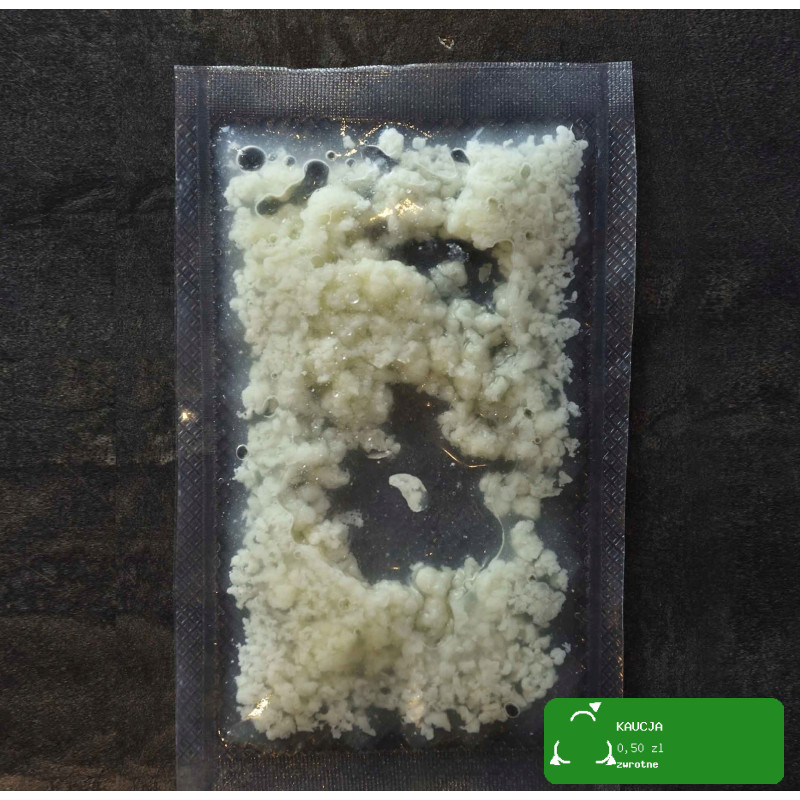 KAMELEON KULINARNY ziarno kefiru GRZYBEK TYBETAŃSKI na kefir domowy 15g