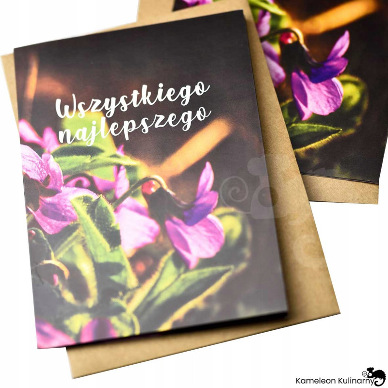 KARTKA OKOLICZNOŚCIOWA życzenia Wszystkiego najlepszego +koperta EKO FIOŁKI