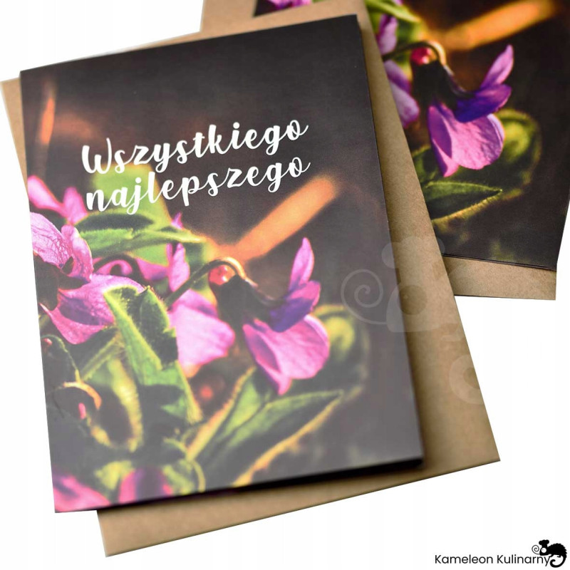 KARTKA OKOLICZNOŚCIOWA życzenia Wszystkiego najlepszego +koperta EKO FIOŁKI