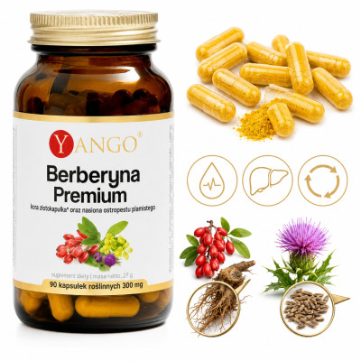 Yango BERBERYNA PREMIUM ostropest wsparcie DETOKSYKACJA 90kapsułek