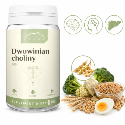 Nanga DWUWINIAN CHOLINY 100 KAPSUŁEK X 500 MG