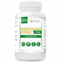 Wish OSTROPEST PLAMISTY 125mg 120kp ZDROWA WĄTROBA