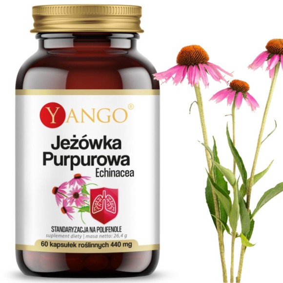 Yango JEŻÓWKA PURPUROWA ECHINACEA wsparcie: ODPORNOŚĆ U