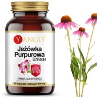 Yango JEŻÓWKA PURPUROWA ECHINACEA wsparcie: ODPORNOŚĆ U