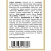 Yango JEŻÓWKA PURPUROWA ECHINACEA wsparcie: ODPORNOŚĆ U