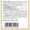 Yango SCHISANDRA CYTRYNIEC CHIŃSKI Adaptogen wsparcie