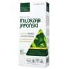 Medica Herbs MIŁORZĄB JAPOŃSKI GINGKO BILOBA 60kaps