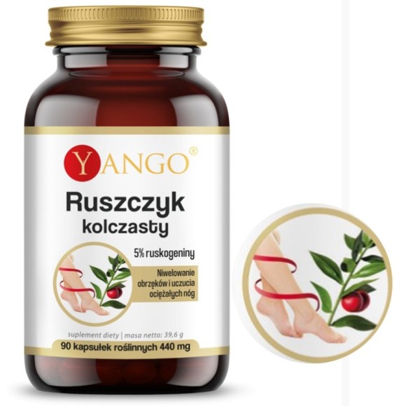 Yango RUSZCZYK KOLCZASTY wsparcie: UKŁAD KRĄŻENIA OBRZĘKI
