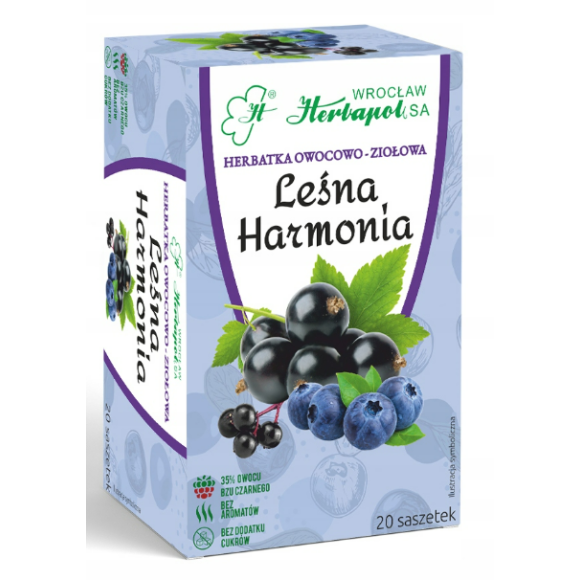 Herbapol LEŚNA HARMONIA herbata owocowo ziołowa 20szt x 3g