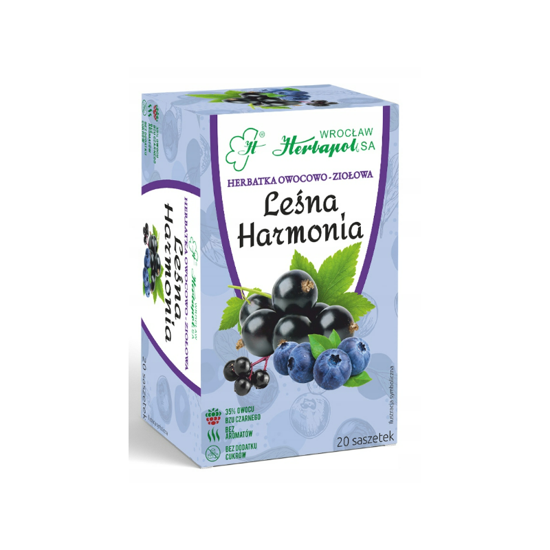 Herbapol LEŚNA HARMONIA herbata owocowo ziołowa 20szt x 3g