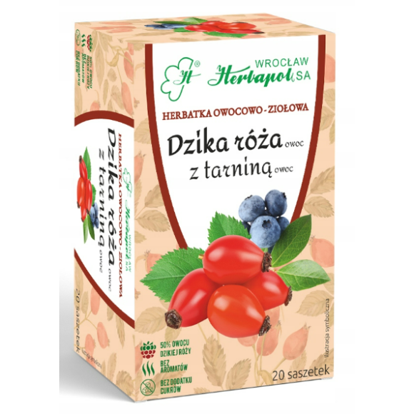 Herbapol DZIKA RÓŻA z TARNINĄ herbata owocowo ziołowa 20szt