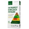 Medica Herbs OSTROPEST KARCZOCH MNISZEK 60kaps wsparcie