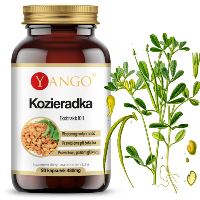 Yango KOZIERADKA 480mg wsparcie CHOLESTEROL CUKRZYCA 90