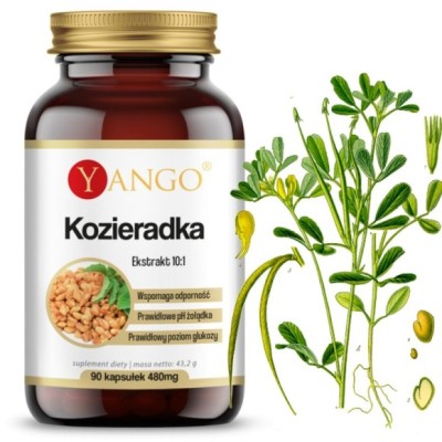 Yango KOZIERADKA 480mg wsparcie CHOLESTEROL CUKRZYCA 90