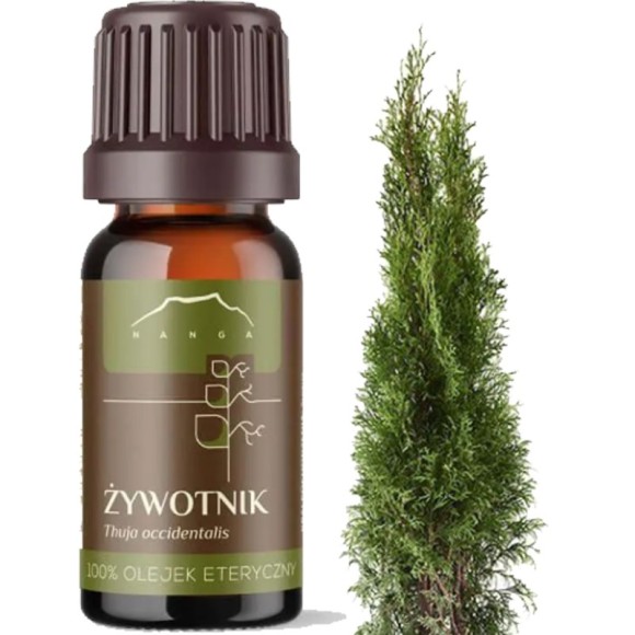 NANGA NATURALNY OLEJEK ETERYCZNY 100% ŻYWOTNIK ŻYWOTNIKOWY