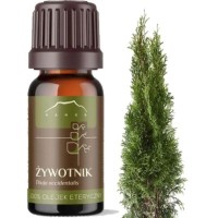 NANGA NATURALNY OLEJEK ETERYCZNY 100% ŻYWOTNIK ŻYWOTNIKOWY