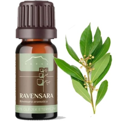 NANGA OLEJEK ETERYCZNY 100% RAVENSARA 10 ml