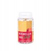 NANGA BOSWELLIA serrata 500mg 100k  Kadzidłowiec wsparcie