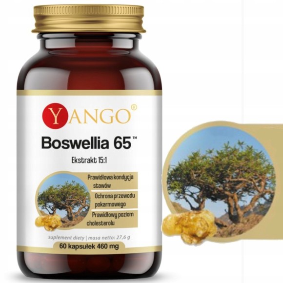 Yango BOSWELLIA 65 CHOLESTEROL STAWY PAMIĘĆ PRZEWÓD