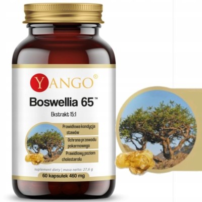 Yango BOSWELLIA 65 CHOLESTEROL STAWY PAMIĘĆ PRZEWÓD