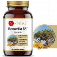 Yango BOSWELLIA 65 CHOLESTEROL STAWY PAMIĘĆ PRZEWÓD