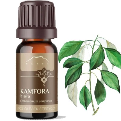 NANGA OLEJEK ETERYCZNY KAMFORA 10ml