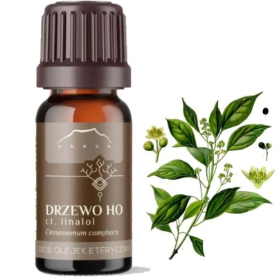 NANGA NATURALNY OLEJEK ETERYCZNY 100% DRZEWO HO KAMFOROWE