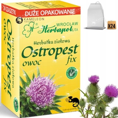 HERBAPOL OSTROPEST OWOC OSTROESTU fix HERBATKA ZIOŁOWA 24