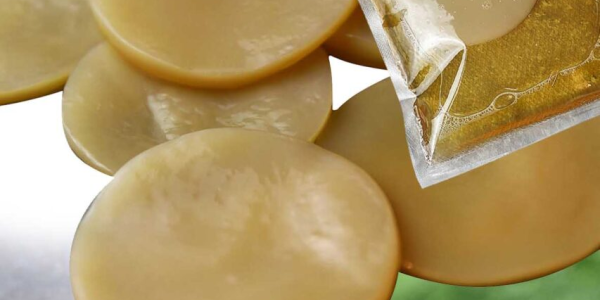 Gdzie kupić grzybka herbacianego scoby?